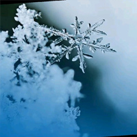 Ron Steinhage - Frost Service